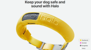 Halo Collar